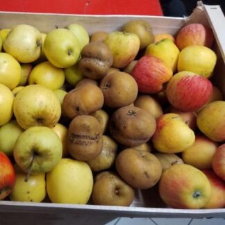 Mélange de pommes petit calibre bio