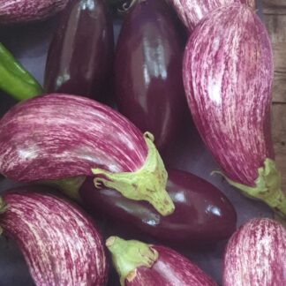 Aubergines bio