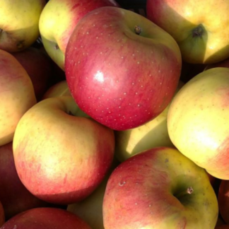 Pommes IDARED bio