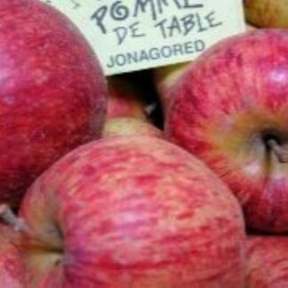 Pommes JONAGORED bio