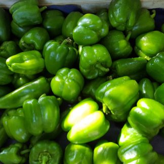 Poivrons verts bio