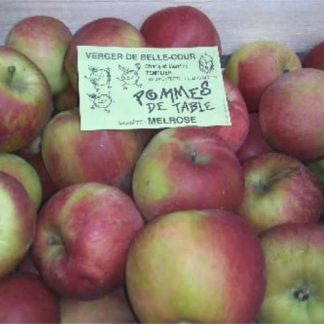 Pommes MELROSE bio