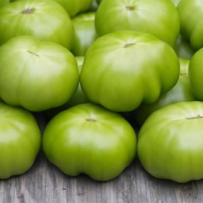 Tomates vertes bio pour confiture