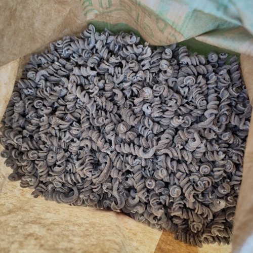 Pâtes au Sarrasin type Fusillis bio