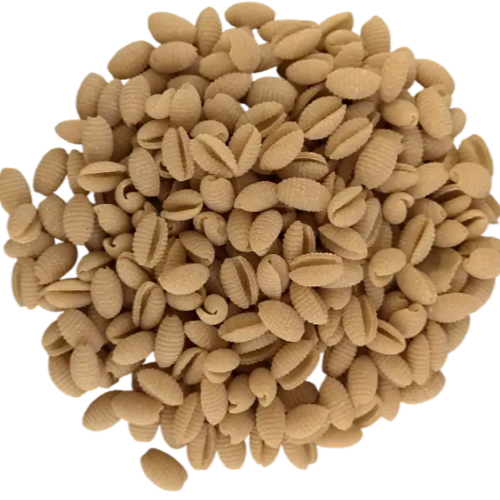 Pâtes "pépites" bio paquet 400g